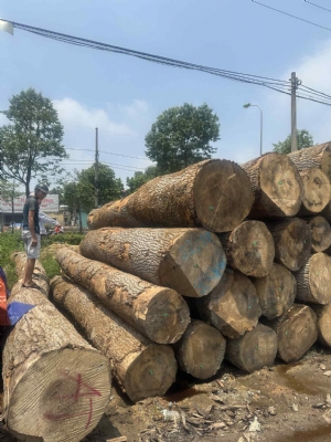 Đức abc vừa về, gỗ sạch tươi. Giá rẻ. Các bác thương mại chốt thì đẹp quá, còn bác bác thợ mộc cũng bon chen được ạ. Lh: 0988045958/0909377209