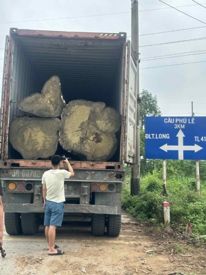 SOS SOS Tần bì đang khan, lựa chọn sang gỗ Hồng Diệp là hợp lý các bác ạ. Chất đanh cứng, vân đẹp. Đặc biệt giá lại rẻ chỉ bằng 2/3 giá tần bì thôi ạ. Bác nào quan tâm alo hoặc ib bên em sớm ạ.