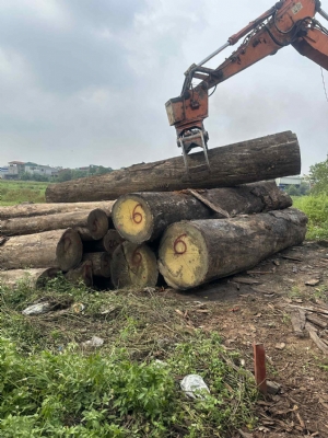 Về thêm gỗ Hồng Diệp, chất đanh cứng, vân đẹp. Khách cần alo bên em sớm để được giá tốt ạ. Hotline: 0988045958/0909377209