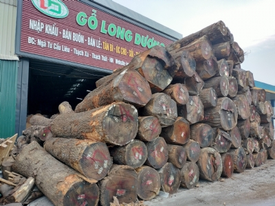 Sồi Mỹ tròn, chất lượng 3SC đến 4SC. Sẵn kho Gỗ NK Long Dương. Kính mời quý khách qua lựa ạ. Hotline: 0988045958/0909377209