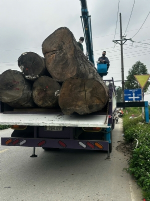 Chất, vân đẹp giá lại rẻ chỉ bằng 1/2 giá Tần bì. Em tên Hồng Diệp ạ. Bác nào quan tâm call hoặc ib em nhé ạ: 0988045958/0909377209